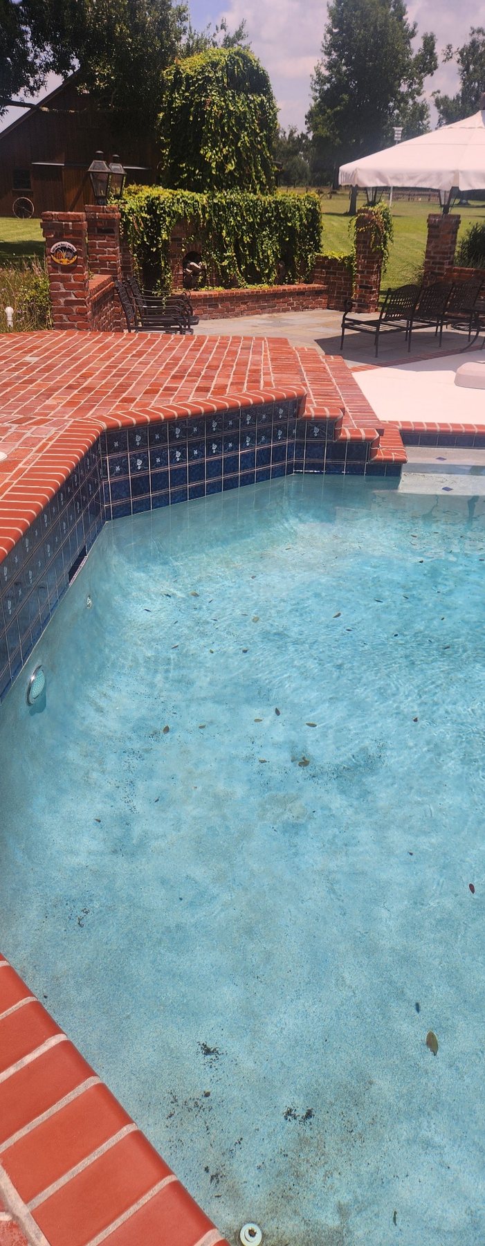 Bourg Louisiana pool tile detail